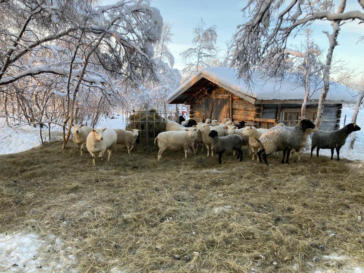 Kuttainen Lodge Karesuando Экстерьер фото